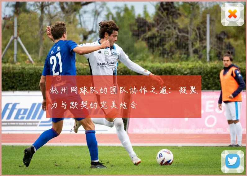 杭州网球队的团队协作之道：凝聚力与默契的完美结合