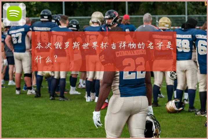 本次俄罗斯世界杯吉祥物的名字是什么？